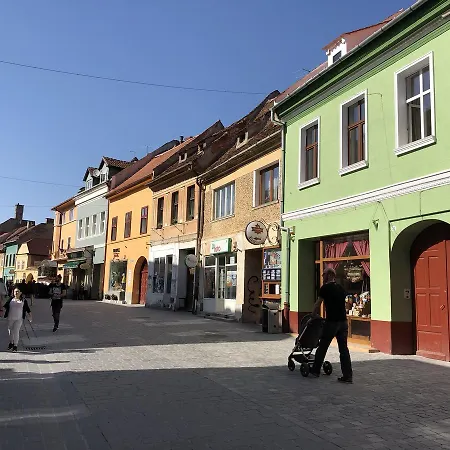 Venice Boutique 3* Брашов