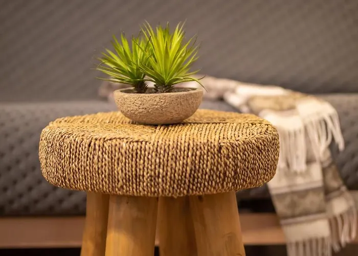 Apartment Venice Boutique Brasov