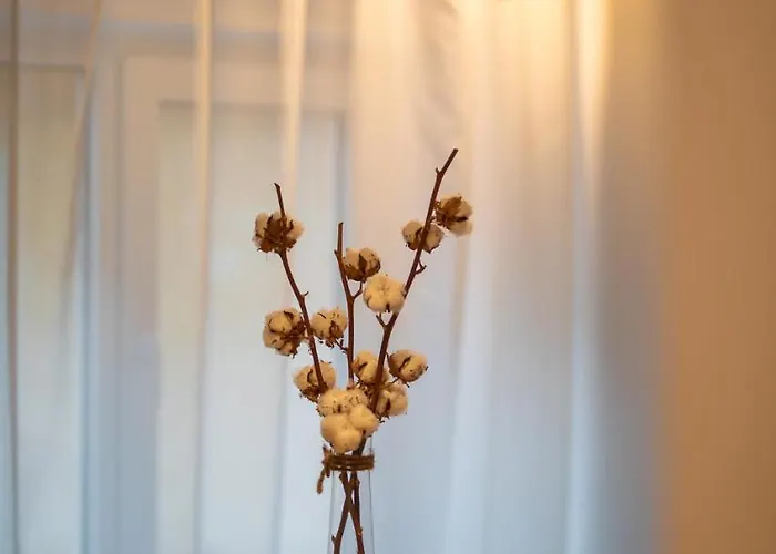 Venice Boutique 公寓 布拉索夫